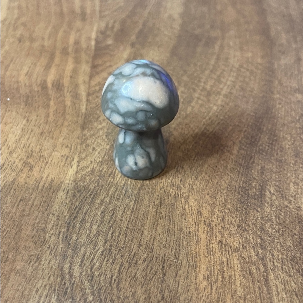 Marcasite Mushroom